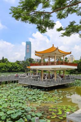 洪湖公园