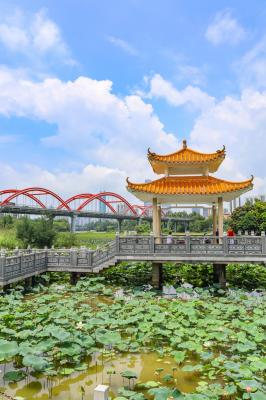 洪湖公园