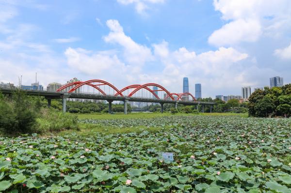 洪湖公园