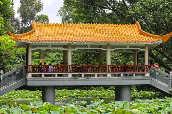 洪湖公园