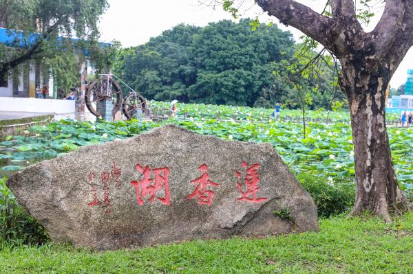 洪湖公园
