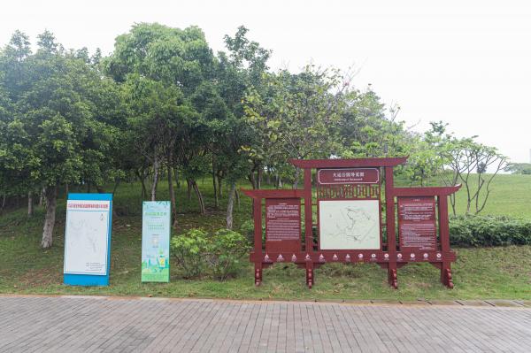 大运公园
