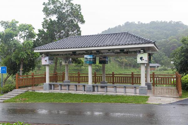 大运公园