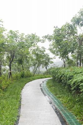 大运公园