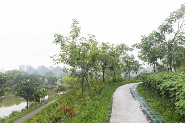 大运公园