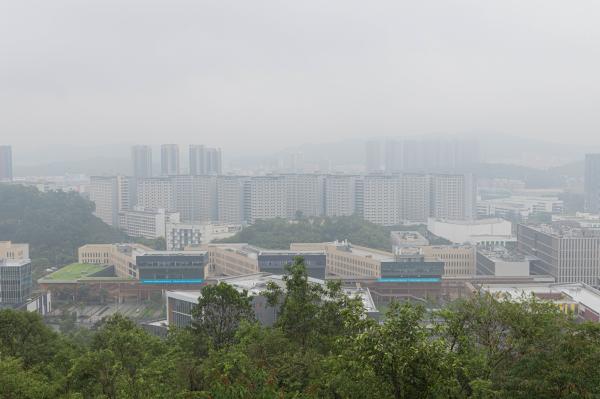 大运公园