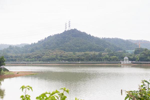 大运公园