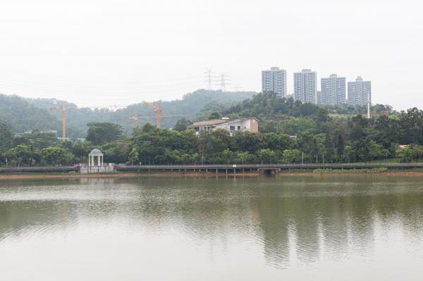 大运公园
