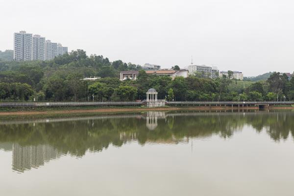 大运公园
