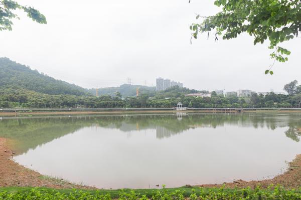 大运公园