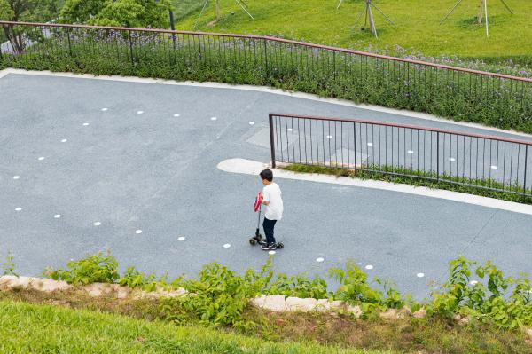 西丽生态公园
