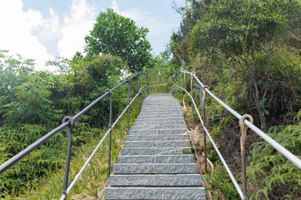 西丽生态公园