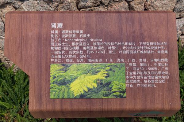 西丽生态公园