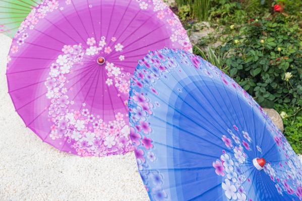 人民公园月季花展