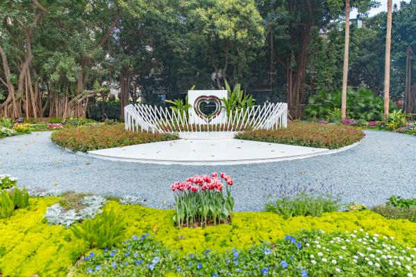 人民公园月季花展