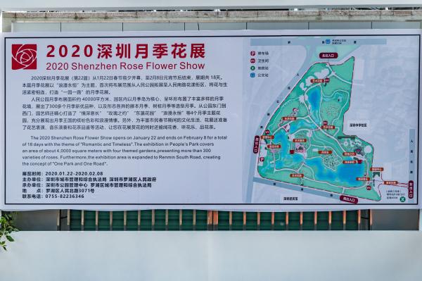 人民公园月季花展