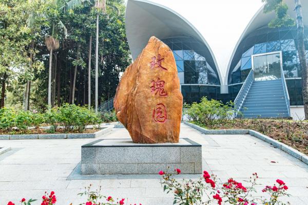 人民公园月季花展