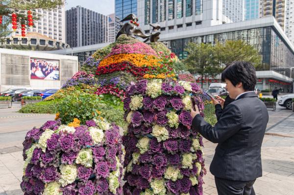 人民公园月季花展