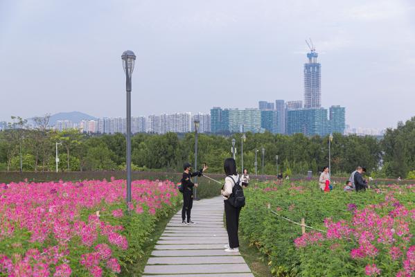 流花山花海