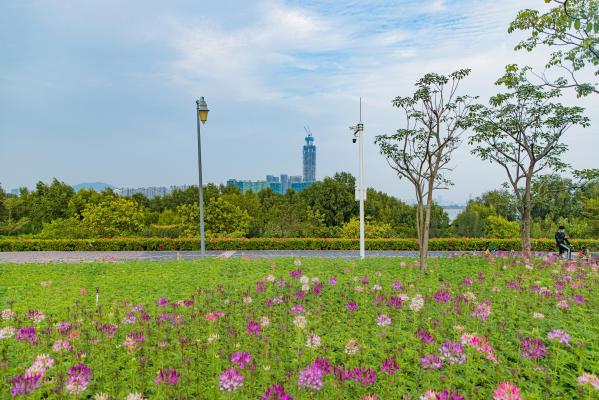 流花山花海