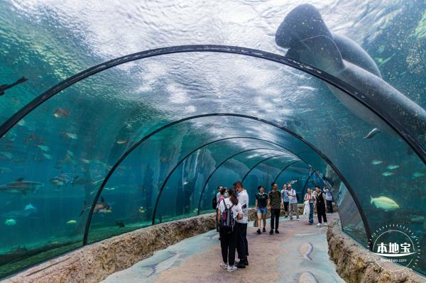 珠海长隆海洋王国