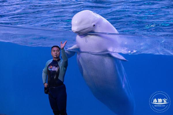 珠海长隆海洋王国