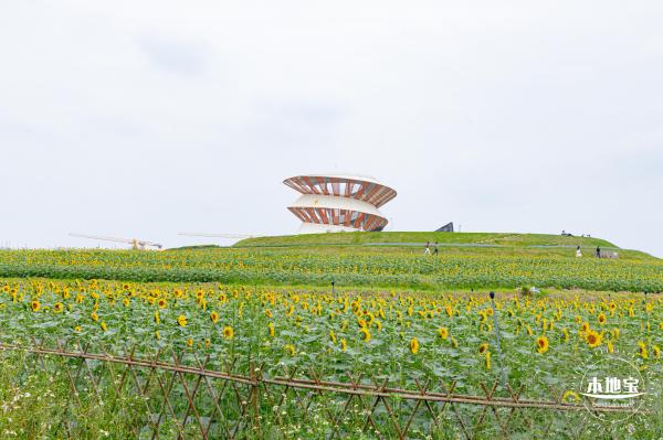 2020光明小镇欢乐田园