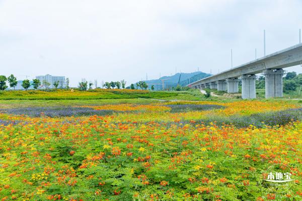 2020光明小镇欢乐田园