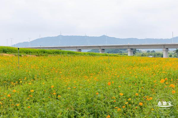 2020光明小镇欢乐田园