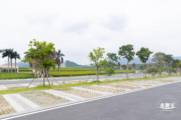 2020光明小镇欢乐田园