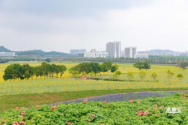 2020光明小镇欢乐田园