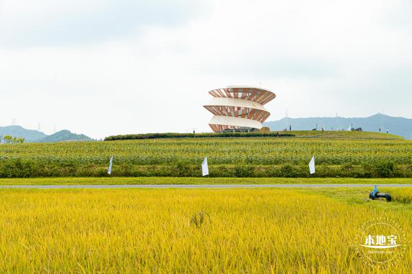 2020光明小镇欢乐田园