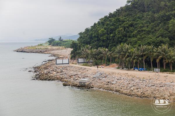 沙鱼涌