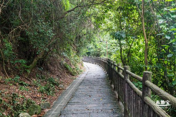 沙鱼涌