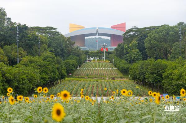 市民中心向日葵