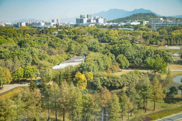 坪山区中心公园