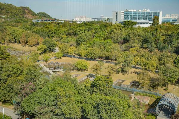 坪山区中心公园