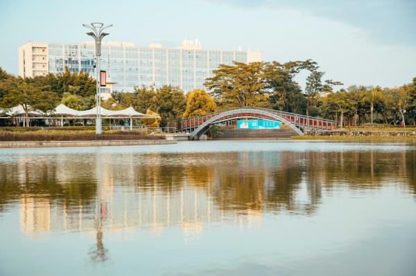 坪山区中心公园