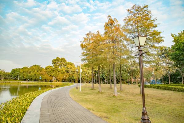 坪山区中心公园