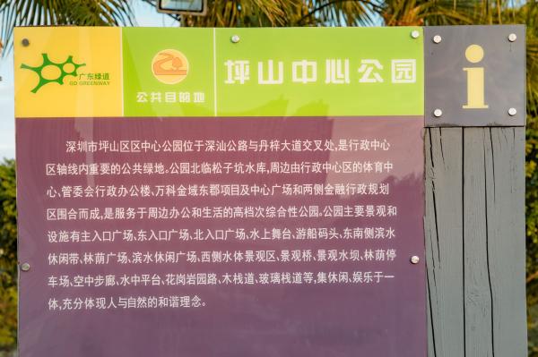 坪山区中心公园