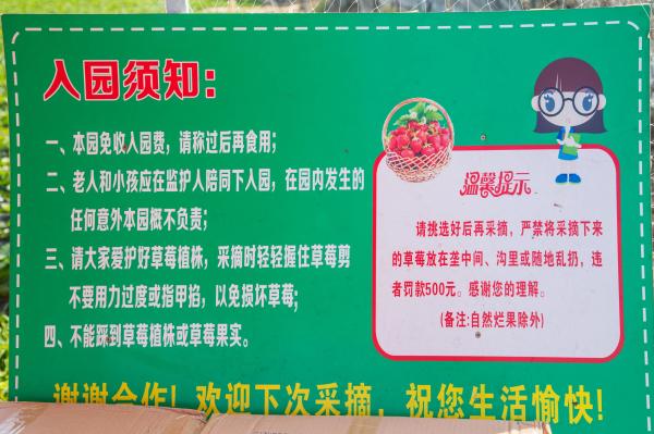 观澜版画村