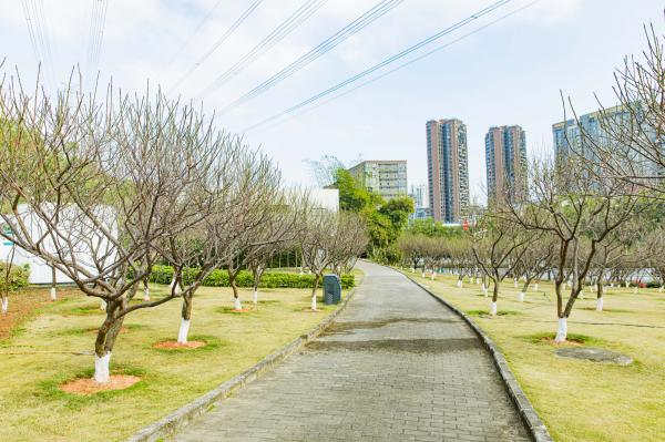 深圳梅园