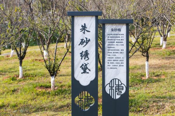 深圳梅园