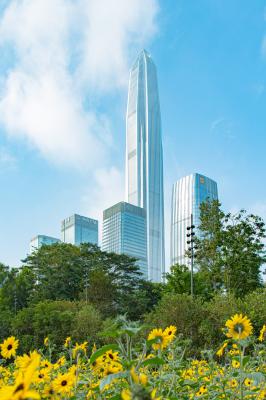 市民中心向日葵