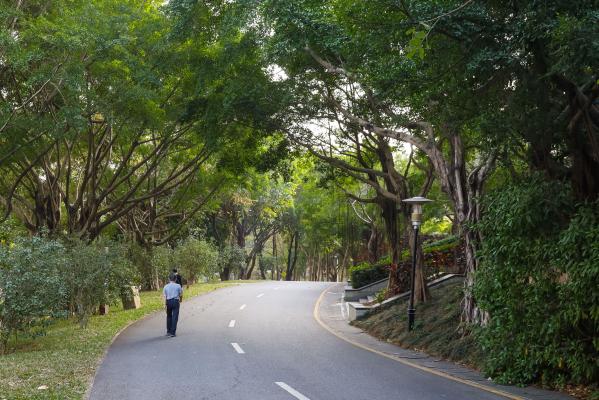 深圳国际园林花卉博览园