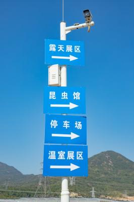 排牙山下菊花展