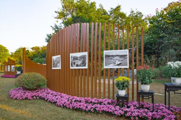 2019深圳菊花展