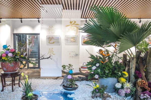 2019深圳菊花展