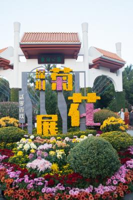 2019深圳菊花展
