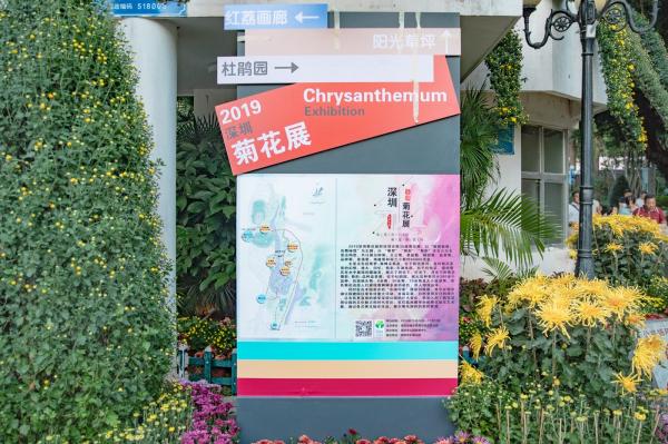 2019深圳菊花展